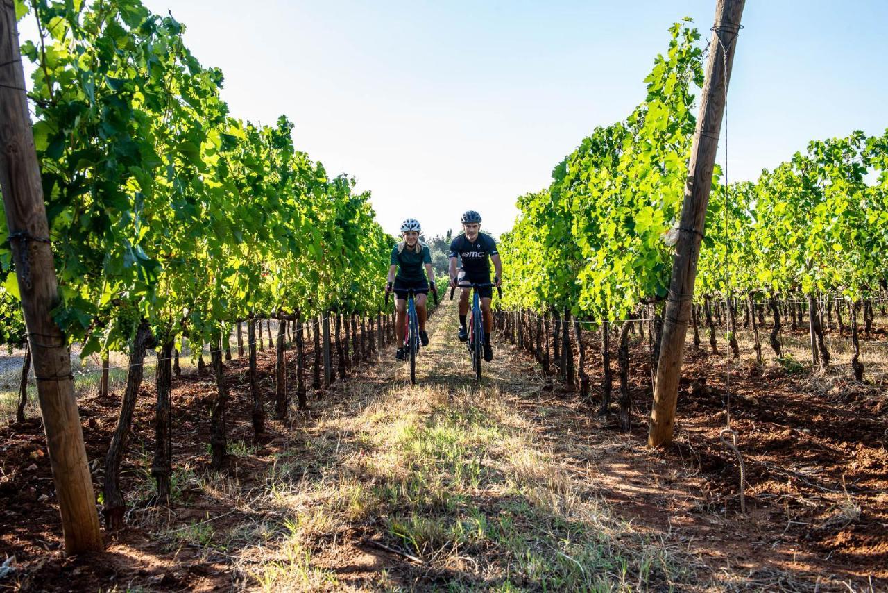 Antica Fattoria La Parrina Villa Orbetello Ngoại thất bức ảnh