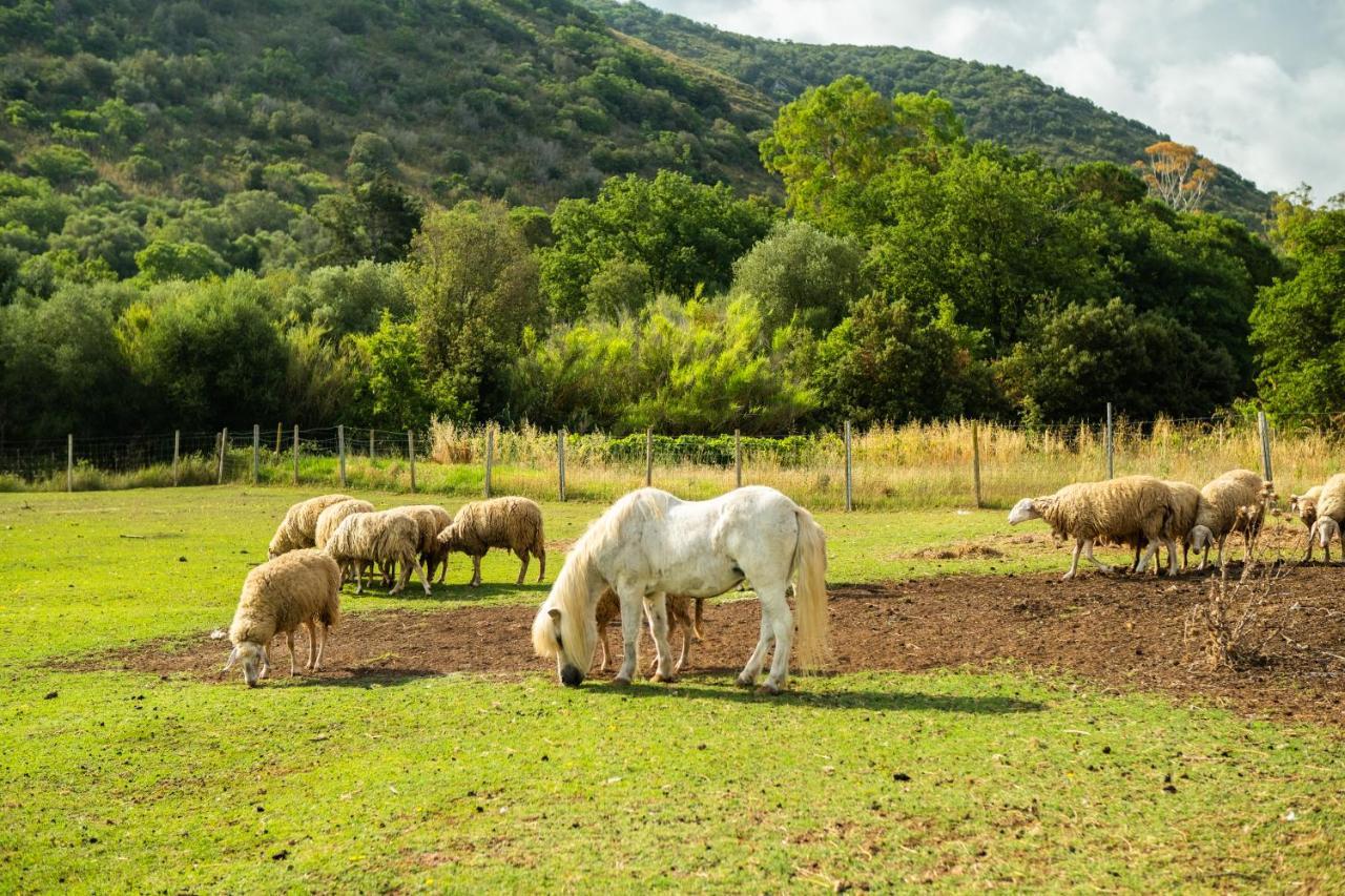 Antica Fattoria La Parrina Villa Orbetello Ngoại thất bức ảnh