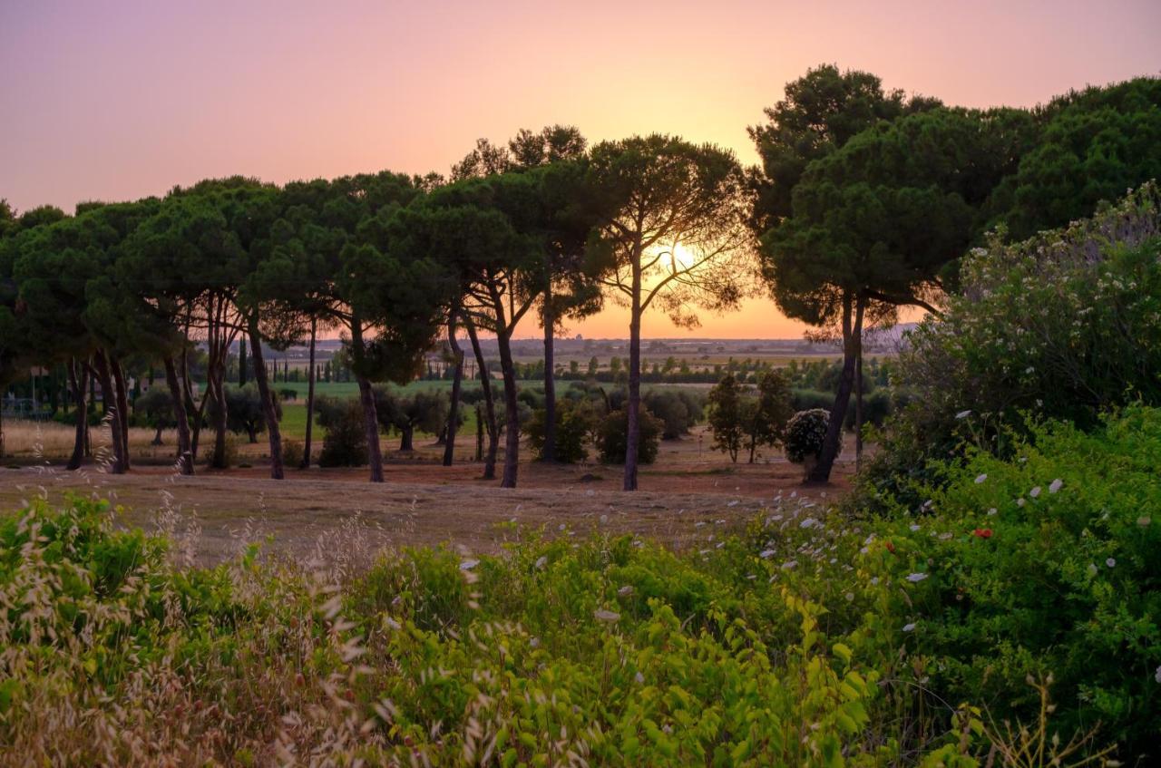 Antica Fattoria La Parrina Villa Orbetello Ngoại thất bức ảnh
